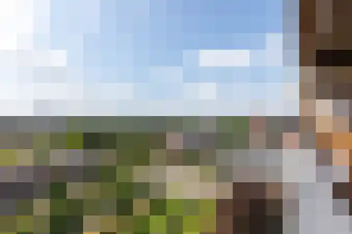 Aalscholversingel 196 Velp thumbnail 10