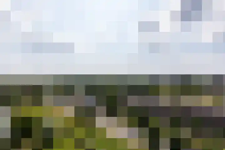 Aalscholversingel 196 Velp thumbnail 11