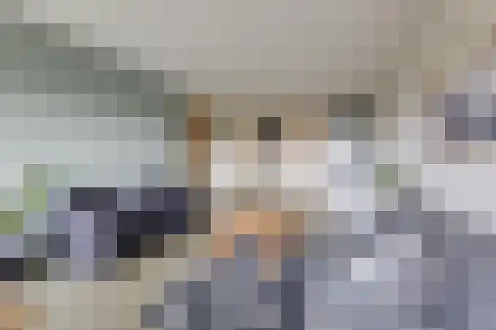 Aalscholversingel 196 Velp thumbnail 12