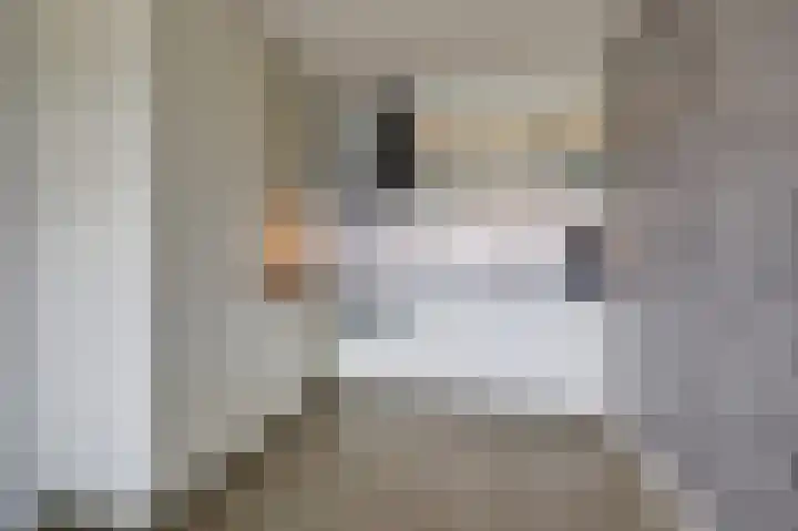 Aalscholversingel 196 Velp thumbnail 13