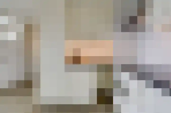 Aalscholversingel 196 Velp thumbnail 14