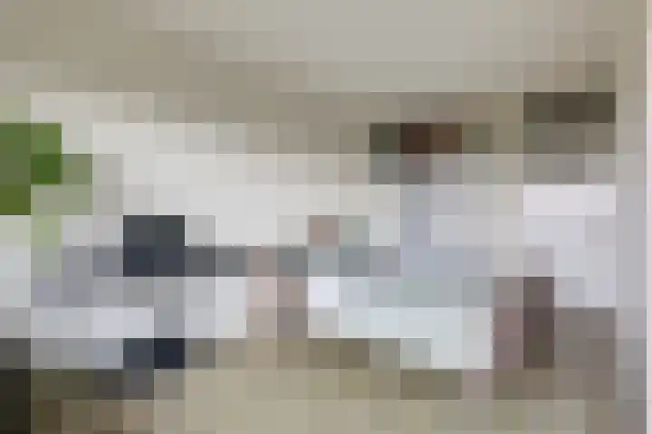 Aalscholversingel 196 Velp thumbnail 16