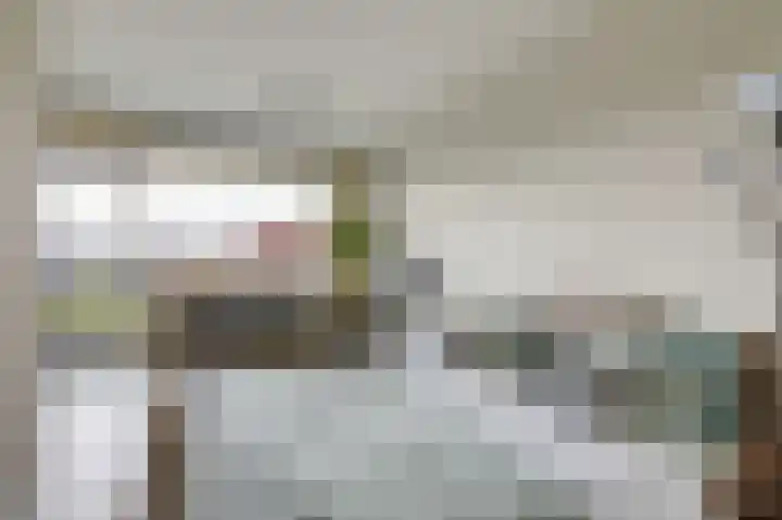 Aalscholversingel 196 Velp thumbnail 17