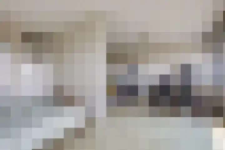Aalscholversingel 196 Velp thumbnail 18