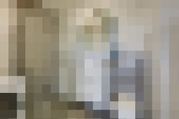 Aalscholversingel 196 Velp thumbnail 19