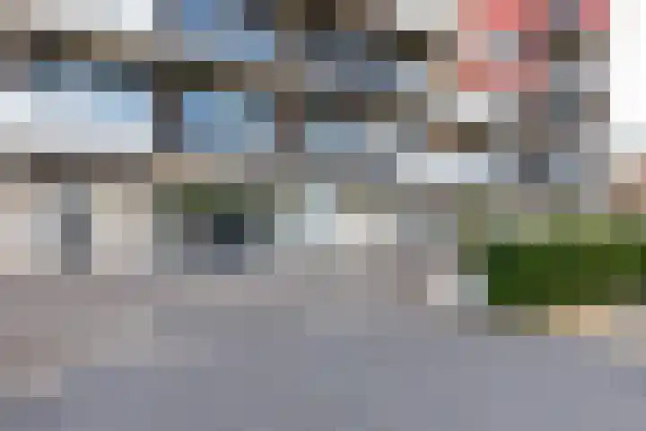 Aalscholversingel 196 Velp thumbnail 23