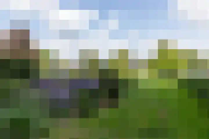 Aalscholversingel 196 Velp thumbnail 24
