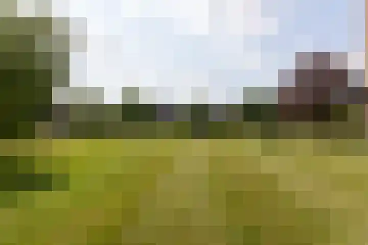 Aalscholversingel 196 Velp thumbnail 25
