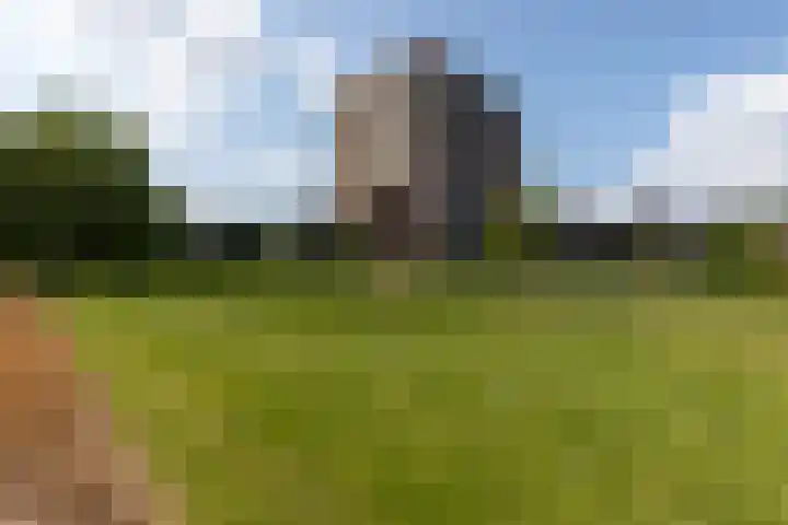 Aalscholversingel 196 Velp thumbnail 26