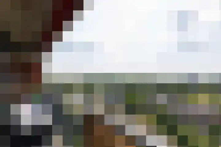 Aalscholversingel 196 Velp thumbnail 4