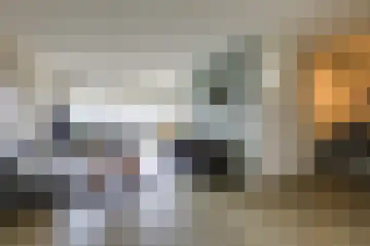 Aalscholversingel 196 Velp thumbnail 6