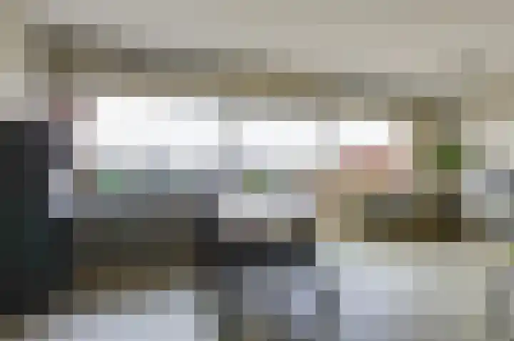Aalscholversingel 196 Velp thumbnail 7