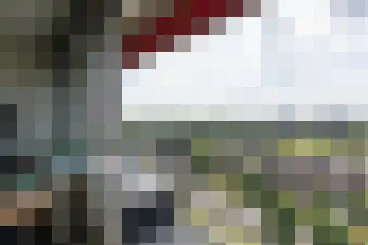 Aalscholversingel 196 Velp thumbnail 8