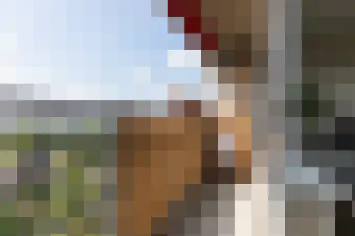 Aalscholversingel 196 Velp thumbnail 9
