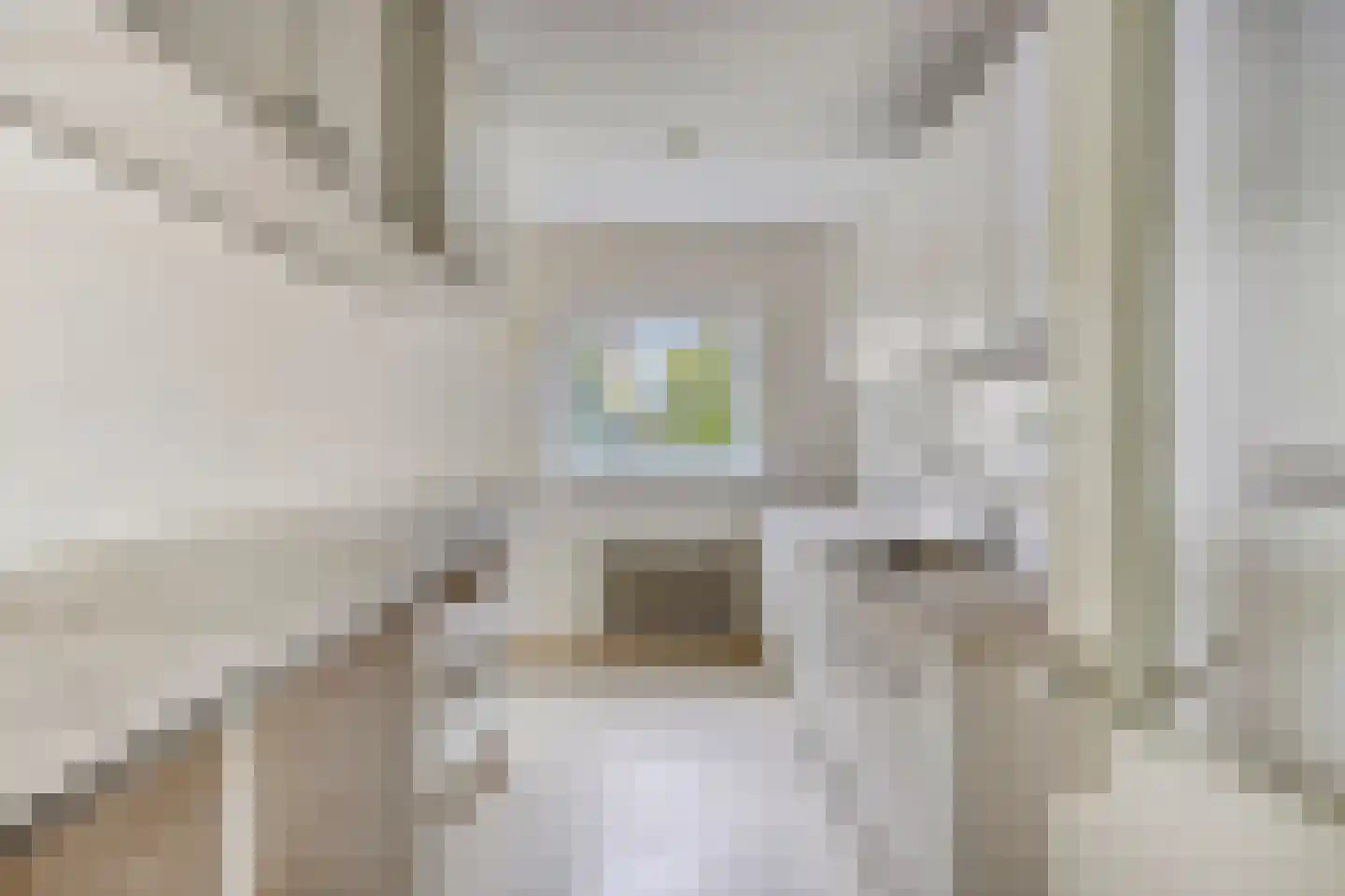 Aalscholversingel 2 Velp thumbnail 14
