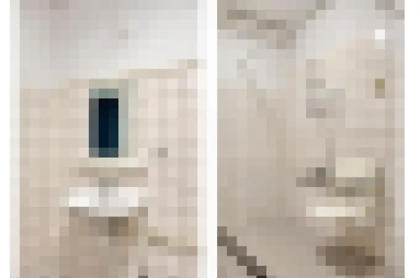 Aalscholversingel 2 Velp thumbnail 19