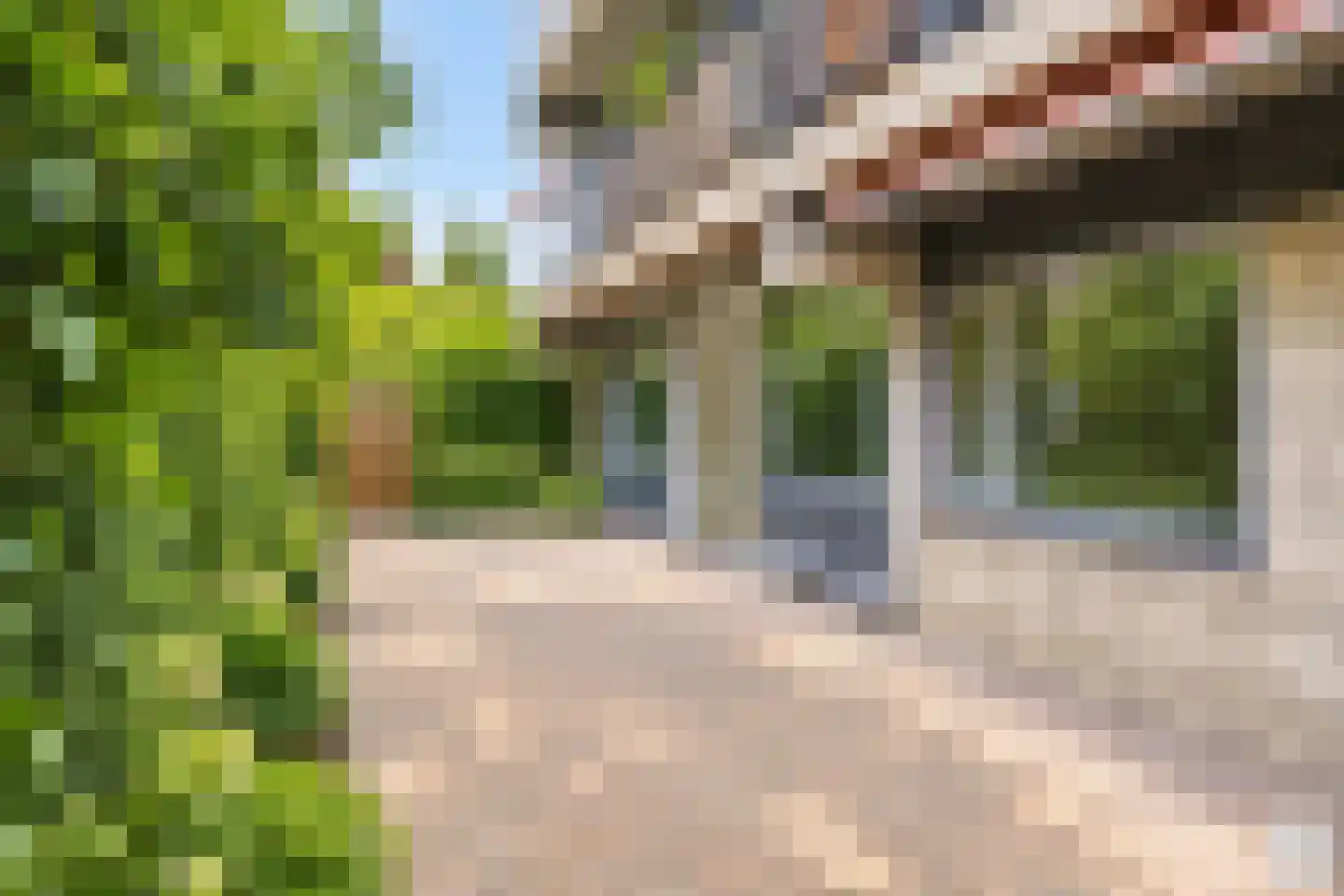Aalscholversingel 2 Velp thumbnail 22