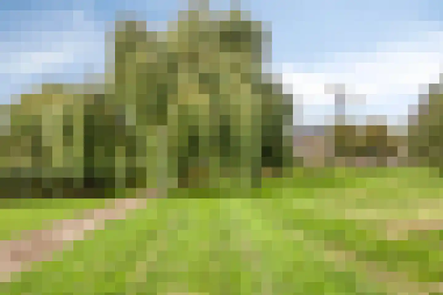 Aalscholversingel 2 Velp thumbnail 24