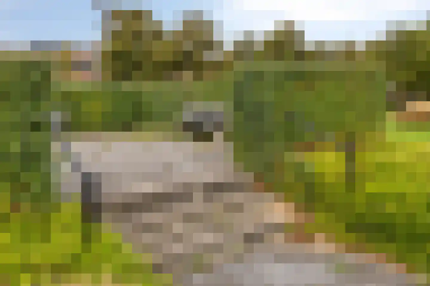 Aalscholversingel 2 Velp thumbnail 25