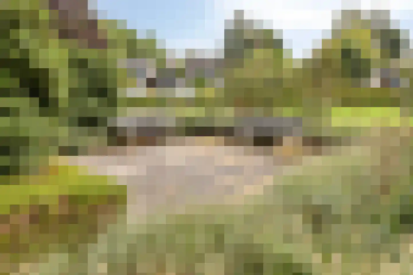 Aalscholversingel 2 Velp thumbnail 26
