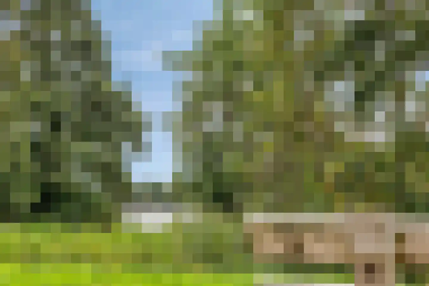 Aalscholversingel 2 Velp thumbnail 28