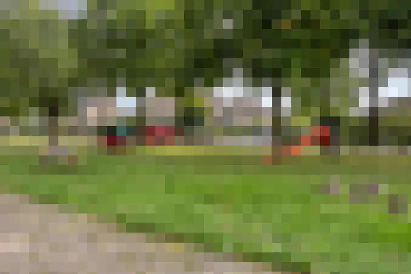 Aalscholversingel 2 Velp thumbnail 30