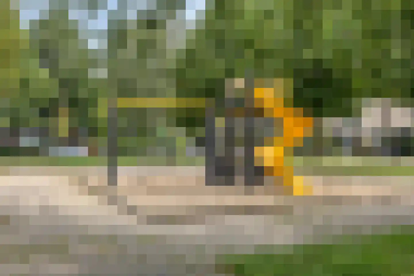 Aalscholversingel 2 Velp thumbnail 31