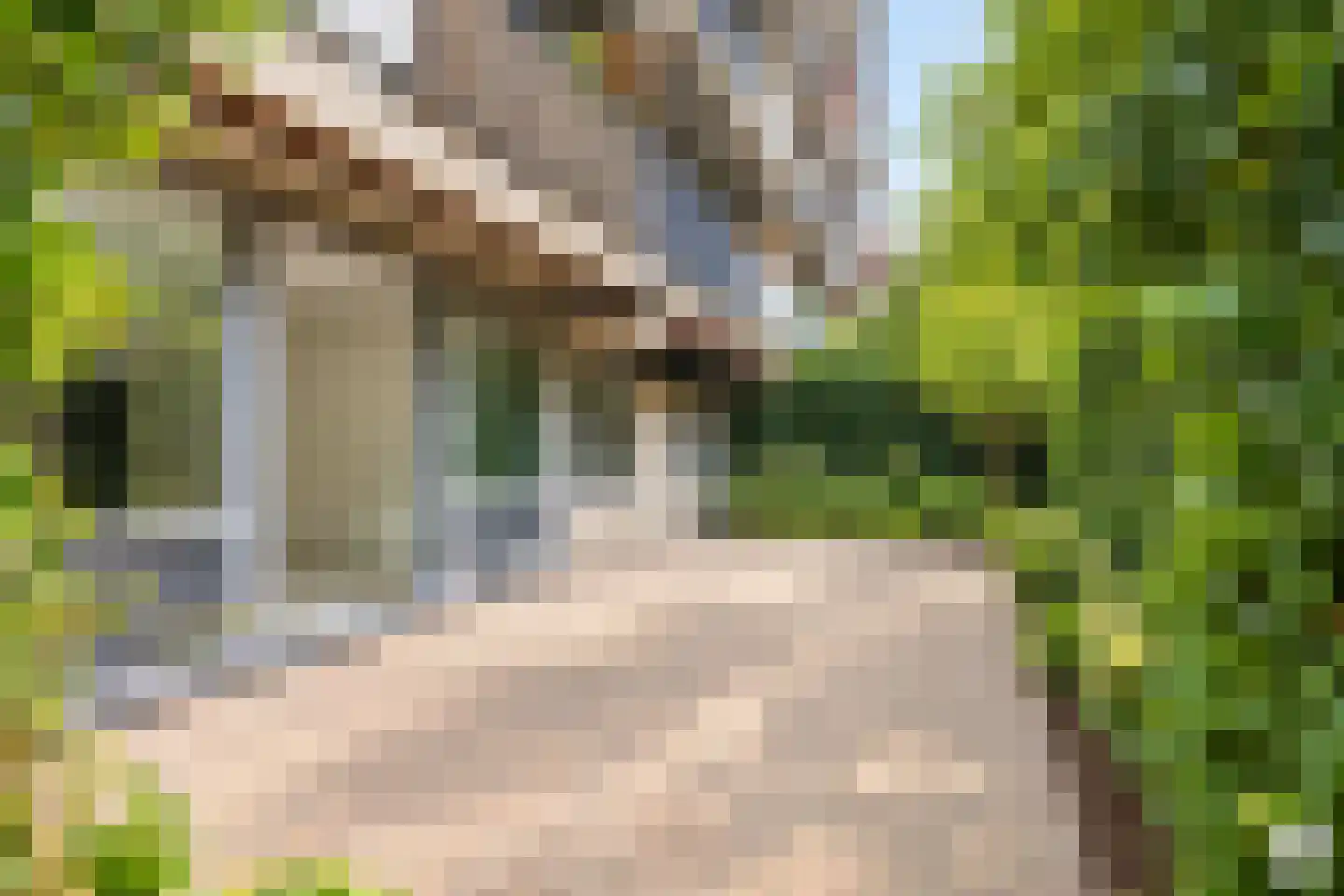 Aalscholversingel 2 Velp thumbnail 4
