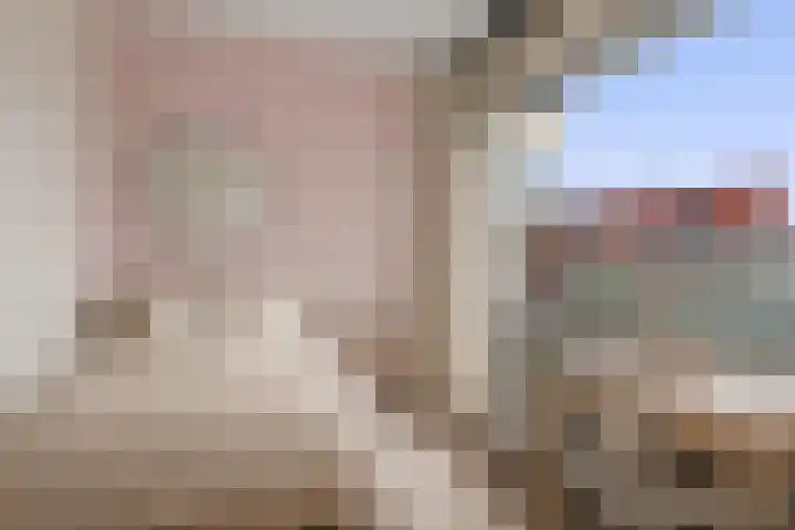 Aalscholversingel 206 Velp thumbnail 12
