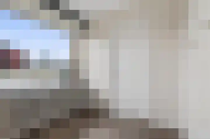 Aalscholversingel 206 Velp thumbnail 13