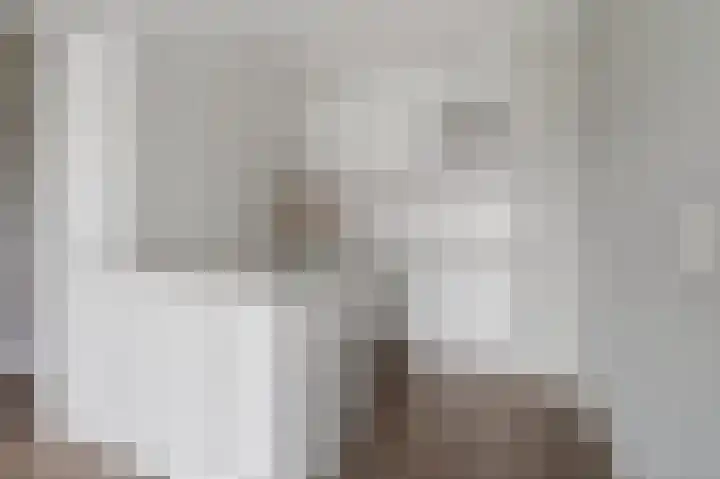 Aalscholversingel 206 Velp thumbnail 15