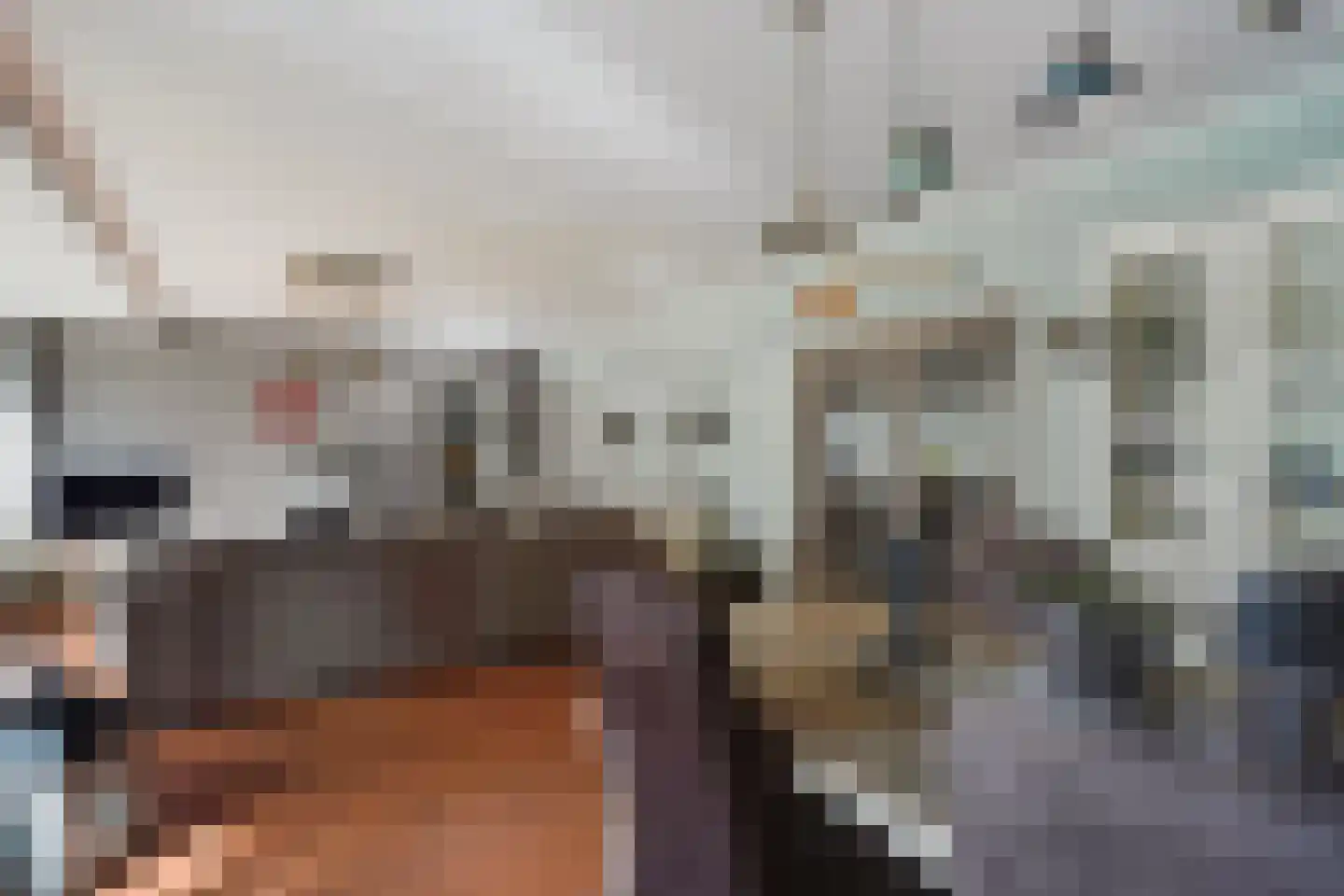 Aalscholversingel 206 Velp thumbnail 17