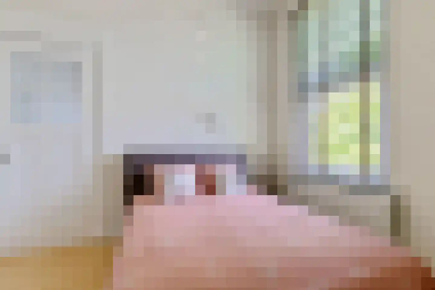 Aalscholversingel 206 Velp thumbnail 20