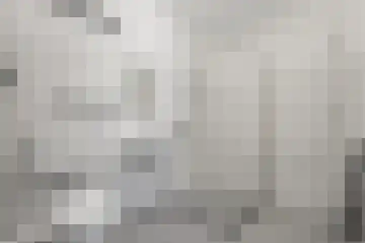 Aalscholversingel 206 Velp thumbnail 22