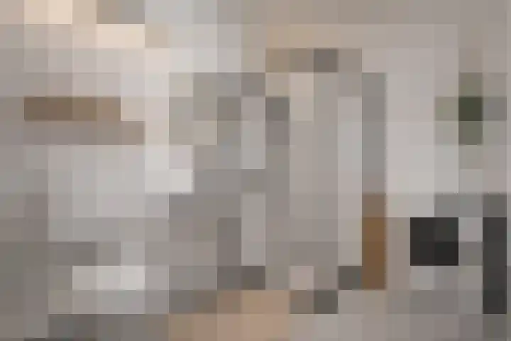 Aalscholversingel 206 Velp thumbnail 23