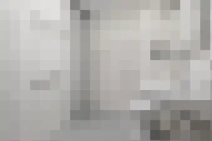 Aalscholversingel 206 Velp thumbnail 24