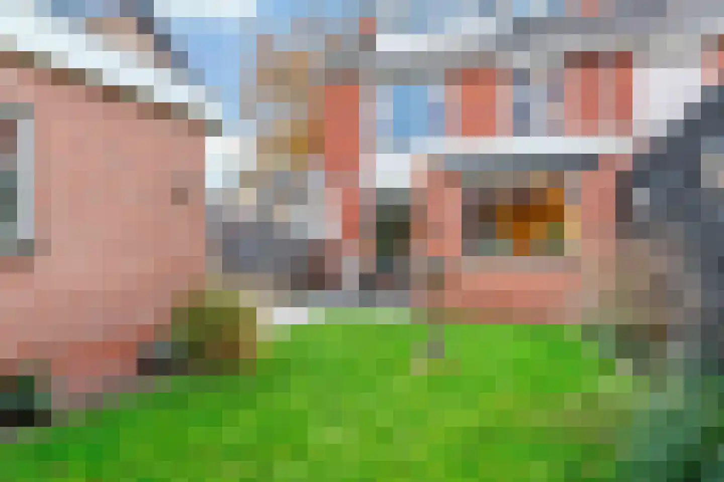 Aalscholversingel 206 Velp thumbnail 26