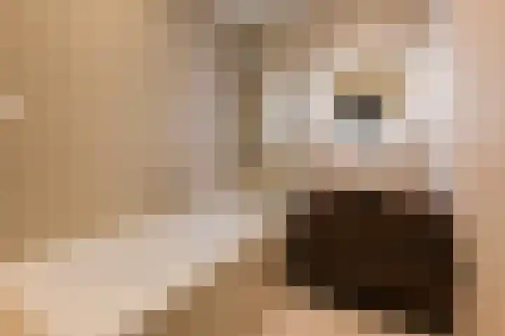 Aalscholversingel 206 Velp thumbnail 27