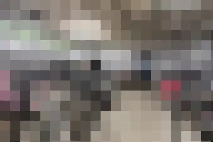 Aalscholversingel 206 Velp thumbnail 29
