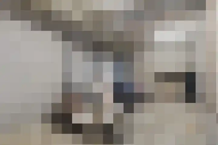 Aalscholversingel 206 Velp thumbnail 30