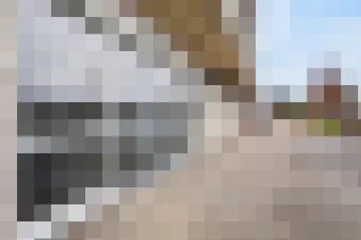 Aalscholversingel 206 Velp thumbnail 31