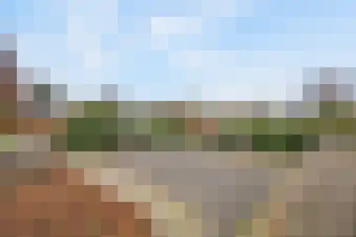 Aalscholversingel 206 Velp thumbnail 33