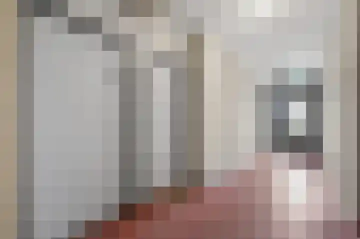 Aalscholversingel 206 Velp thumbnail 6