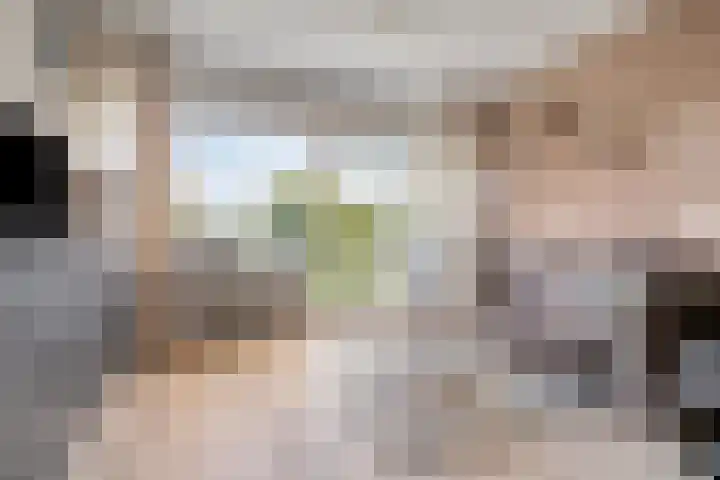 Aalscholversingel 222 Velp thumbnail 10