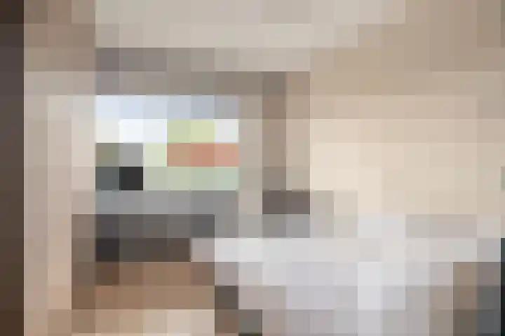 Aalscholversingel 222 Velp thumbnail 16