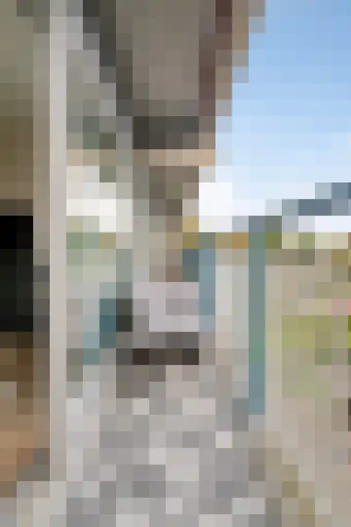 Aalscholversingel 222 Velp thumbnail 20