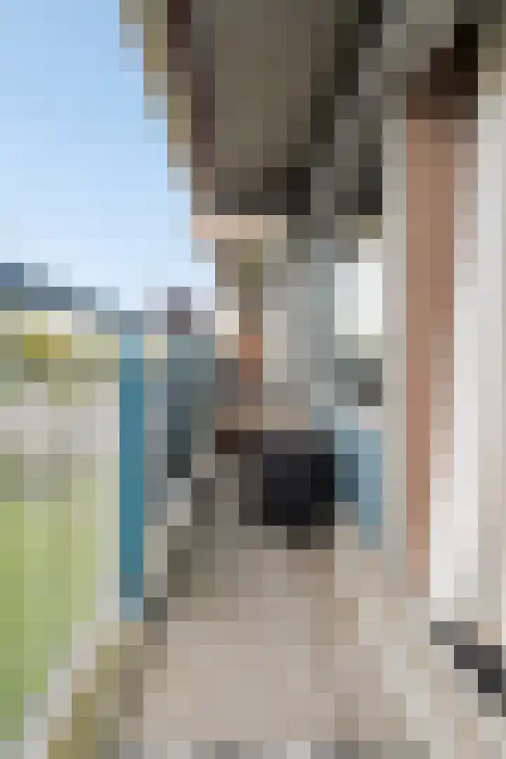 Aalscholversingel 222 Velp thumbnail 21