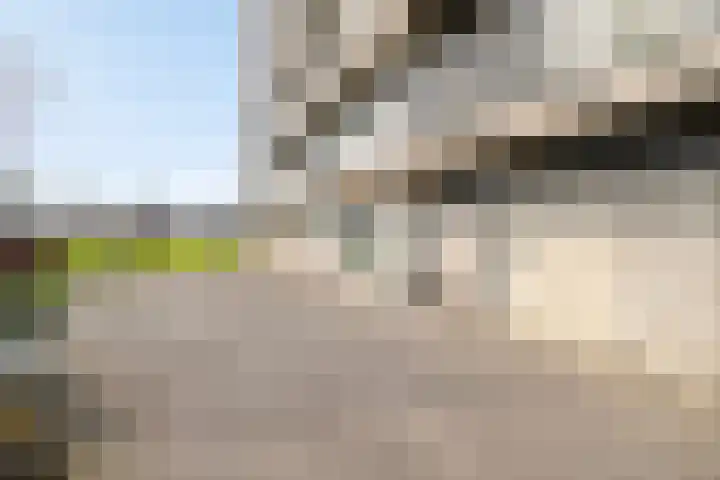 Aalscholversingel 222 Velp thumbnail 26
