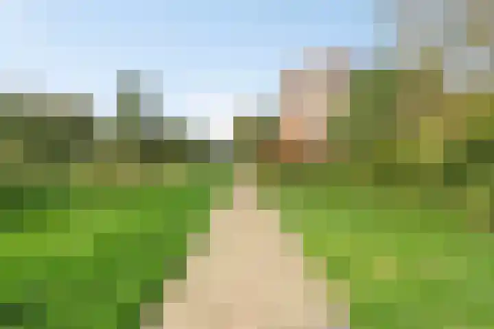 Aalscholversingel 222 Velp thumbnail 27