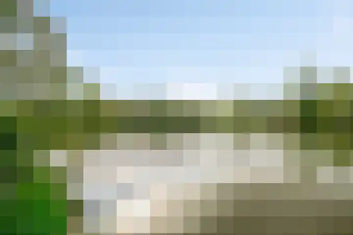 Aalscholversingel 222 Velp thumbnail 28